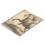 Carnet Gravure antique élégante de cheval espagnol (Côté gauche)