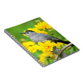 Carnet Gray Catbird on wooden fence (Côté Droit)