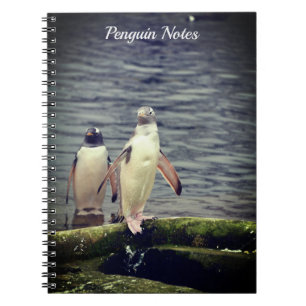 Carnet Gray Gentoo Penguin Edinburgh Zoo Écosse