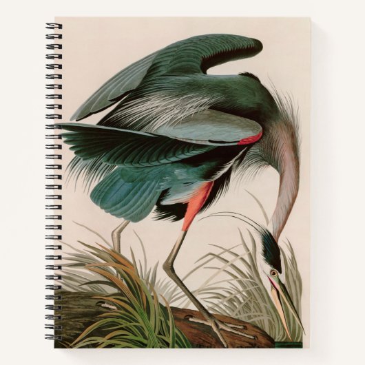 Carnet Great Blue Heron Birds of America Audubon Imprimer (Devant)
