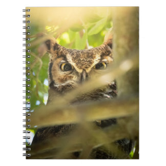 Carnet Great Horned Owl Wildlife Nature Photo Art Print 