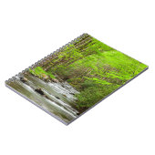 Carnet Great Smoky Mountains National Park Caroline du No (Côté gauche)