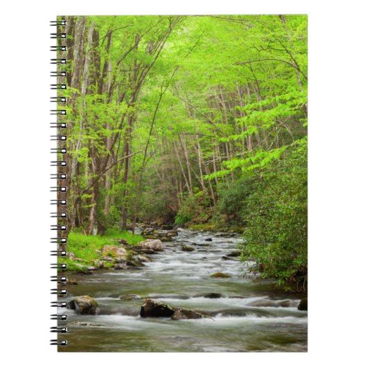 Carnet Great Smoky Mountains National Park Caroline du No (Devant)