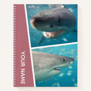 Carnet Great White Shark Australie Photos Rose Gold