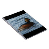 Carnet Grèbe à oreilles B13 (Côté Droit)