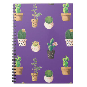 Carnet Green Dessert Succulent Cactus in Pots