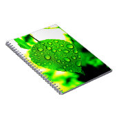 Carnet Green leaf (Côté Droit)