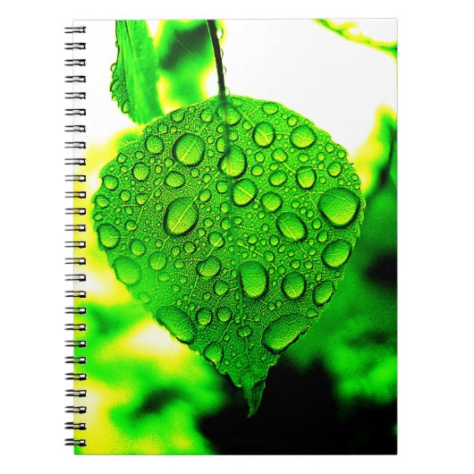 Carnet Green leaf (Devant)
