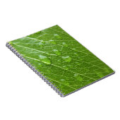Carnet Green leaf (Côté Droit)