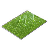 Carnet Green leaf (Côté gauche)