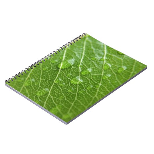 Carnet Green leaf (Côté gauche)
