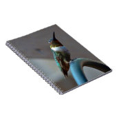 Carnet Green ruby little hummingbird (Côté Droit)