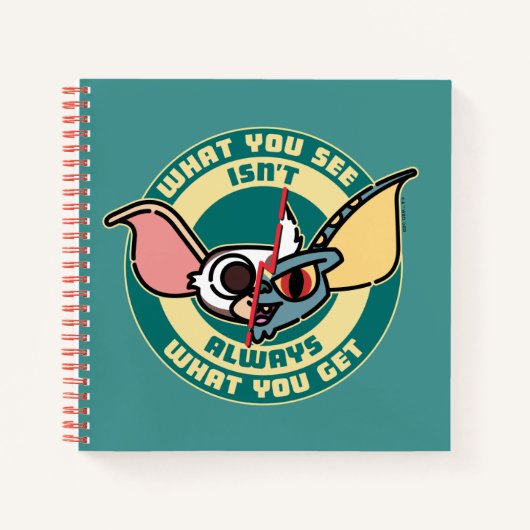Carnet Gremlins | Ce que vous voyez n'est pas toujours ce (Devant)