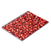 Carnet Grenade (Côté gauche)