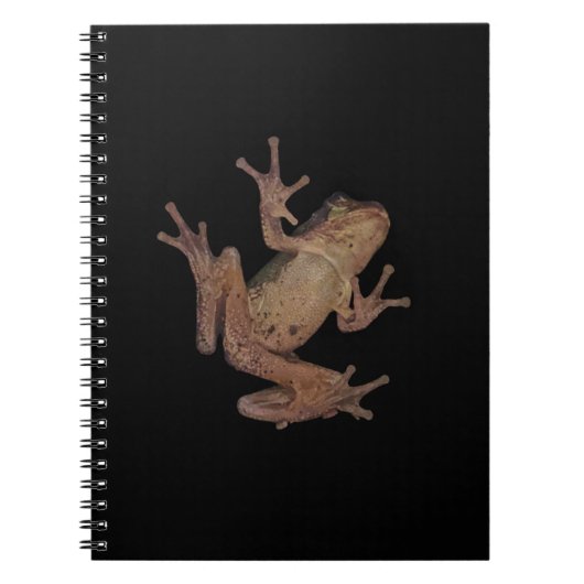 Carnet grenouille (Devant)