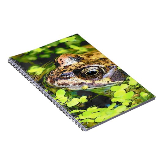 CARNET GRENOUILLE (Côté Droit)