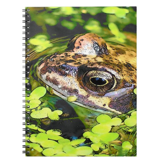 CARNET GRENOUILLE (Devant)