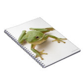 Carnet Grenouille à arbre vert (Côté Droit)