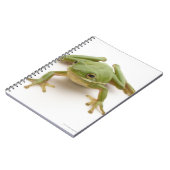 Carnet Grenouille à arbre vert (Côté gauche)
