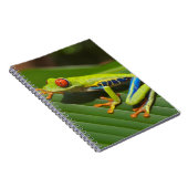 Carnet Grenouille à arbre vert coloré de la Jungle (Côté Droit)