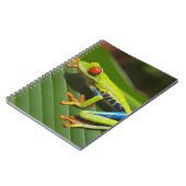 Carnet Grenouille à arbre vert coloré de la Jungle (Côté gauche)