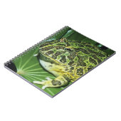 Carnet Grenouille à cornes ornées, (Ceratophrys ornata), (Côté gauche)