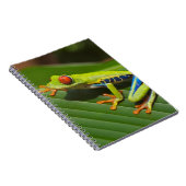 Carnet Grenouille arboricole (Côté Droit)