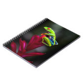 Carnet Grenouille aux yeux rouges (Côté gauche)