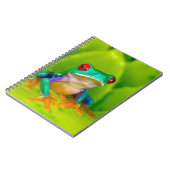 Carnet Grenouille aux yeux rouges, Costa Rica (Côté gauche)