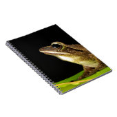 Carnet Grenouille commune sur une feuille (Côté Droit)