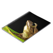 Carnet Grenouille commune sur une feuille (Côté gauche)