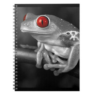Carnet Grenouille d'arbre observée par rouge