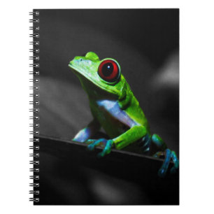 Carnet Grenouille d'arbre observée par rouge III