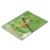 Carnet Grenouille des arbres (Côté gauche)