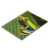 Carnet Grenouille des arbres (Côté gauche)