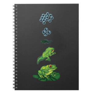 Carnet Grenouille du cycle de vie Métamorphose Oeuf Tadp