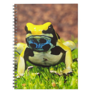 Carnet Grenouille empoisonnée teinturière, Dendrobates ti