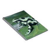 Carnet Grenouille flèche empoisonnée, (Dendrobates auratu (Côté Droit)