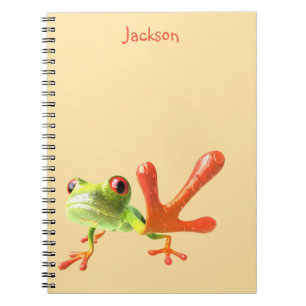 Carnet Grenouille jaune beurre vert et orange