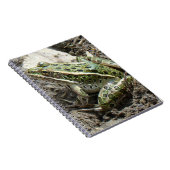 Carnet Grenouille léopard R3 (Côté Droit)
