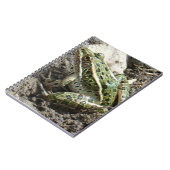 Carnet Grenouille léopard R3 (Côté gauche)