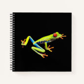 Carnet Grenouille peinte aux yeux rouges (Devant)