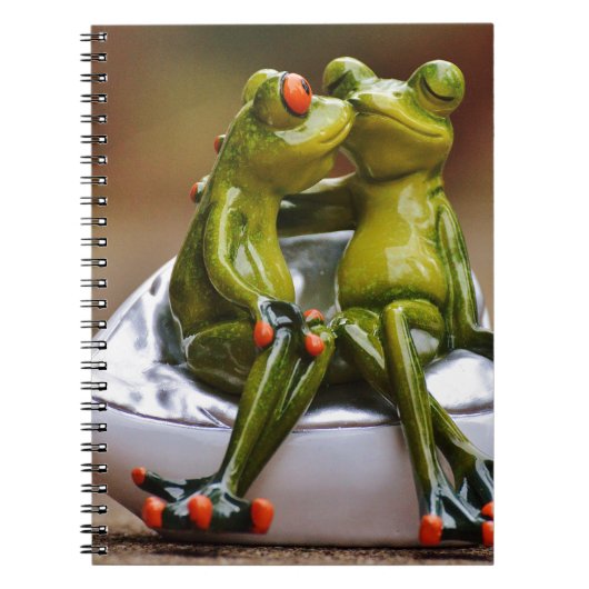 Carnet Grenouilles Heureuses (Devant)