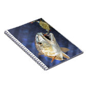 Carnet Grève de rougets communs (Côté Droit)