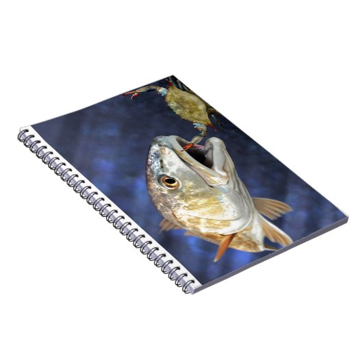 Carnet Grève de rougets communs (Côté Droit)