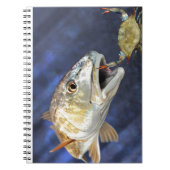 Carnet Grève de rougets communs (Devant)