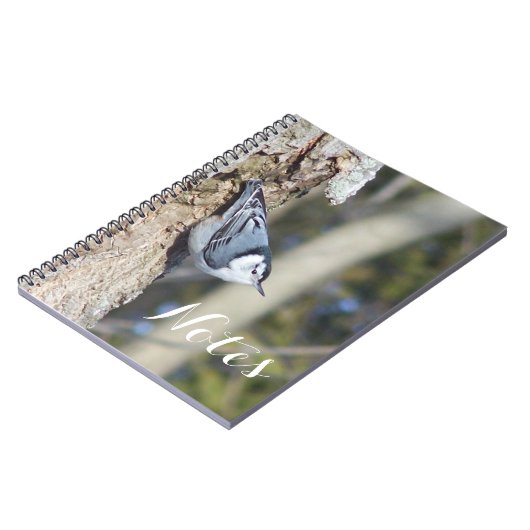 Carnet Grey and white nuthath bird (Côté gauche)