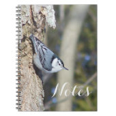 Carnet Grey and white nuthath bird (Devant)