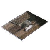 Carnet Grey Horse (Côté gauche)