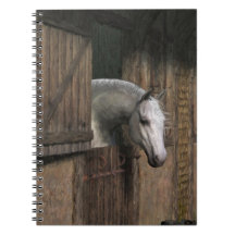 Grey Horse